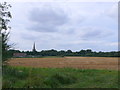 TF6934 : View Towards Snettisham Church by Nigel Mykura