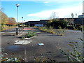 ST3188 : Weeds in a former Sainsbury's site, Crindau, Newport by Jaggery