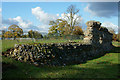 TL1306 : Roman City Wall, St.Albans by Peter Trimming