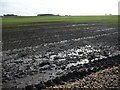 SE4013 : Waterlogged farmland, south-west of Kinsley by Christine Johnstone