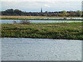 TL2598 : Looking over Whittlesey Wash - The Nene Washes by Richard Humphrey