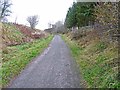 NZ1547 : Lanchester Valley Railway Path by Oliver Dixon