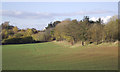 SO8392 : Crop field near Halfpenny Green, Staffordshire by Roger  D Kidd