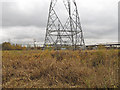 TQ5579 : Pylons on the marsh by Roger Jones