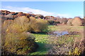 TQ3727 : Light forest and scrub by the Bluebell Line  by Trevor Harris