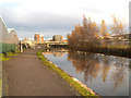 SJ8698 : Ashton Canal, Eastlands by David Dixon