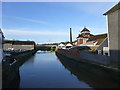 TQ4110 : River Ouse at Lewes by PAUL FARMER