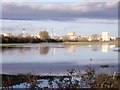 SK3530 : Flooded field by Ian Calderwood