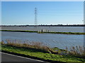 TL2598 : River Nene and Whittlesey Wash in flood - The Nene Washes by Richard Humphrey