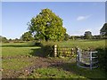 SP2266 : Footpath to Yew Green by David P Howard