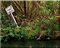 SP1106 : 'Private Fishing' sign, River Coln, Bibury by nick macneill