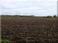 SP3760 : Ploughed Field on Flax Hill by Nigel Mykura