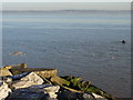 SJ2078 : The Dee Estuary from Greenfield Dock viewpoint by John S Turner