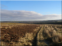  : Blubberhouses Moor, track to Gill Becks by John Slater