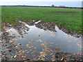 SP3560 : Muddy Field at Square Close by Nigel Mykura