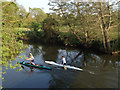 SP2965 : Two solo canoeists on the River Avon by Robin Stott