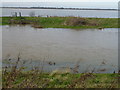 TL4987 : The New Bedford River - The Ouse Washes near Pymoor by Richard Humphrey