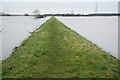 SK8274 : Trent floodbank by Richard Croft