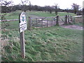 TQ2510 : Path over Summer Down, South Downs by Malc McDonald