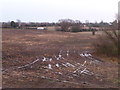 TA0006 : Waterlogged farmland, west of Westrum Lane by Christine Johnstone