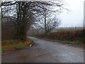 SS7615 : Woodland and road south of Affeton Moor Cross by David Smith