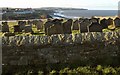 NZ9011 : Churchyard, Whitby by Derek Harper