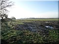 SE3626 : Muddy field entrance, east of Moss Carr by Christine Johnstone