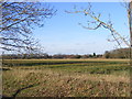 TL1116 : The Common, Kinsbourne Green by Geographer