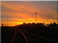 SU5290 : Dawn breaking over Didcot Station by Steve Daniels