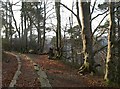 SX7878 : Haytor Granite Tramway in Yarner Wood by Derek Harper