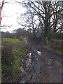 SS7100 : Muddy track on Langford Moor by David Smith