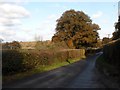 TQ4715 : Harvey's Lane by Mount Farm near Isfield by nick macneill