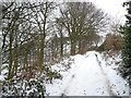 SE2318 : Back Lane in the snow by Christine Johnstone