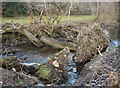 SS9086 : Uprooted trees in the Afon Garw near Bettws by eswales