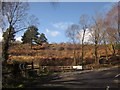 SX7878 : Yarner Wood NNR by Derek Harper