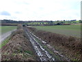 SY8394 : Bridle Path at Shitterton by Nigel Mykura