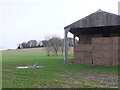 SY8796 : Barn on Bloxworth Down by Nigel Mykura