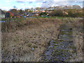 SJ5694 : Newton Common Lock, Sankey Canal by David Dixon