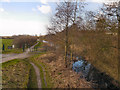 SJ5694 : Sankey Canal from Penkford Bridge by David Dixon