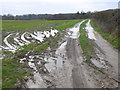 SY8895 : Muddy Track to Waterley Wood by Nigel Mykura