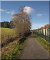 SX7685 : Wray Valley Trail by Derek Harper