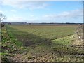 SE4642 : Field entrance alongside the A659 by Christine Johnstone