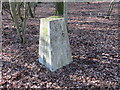 TF1001 : Ordnance Survey Trig Pillar S8689 by Peter Wood