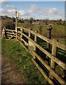 SX7582 : Metal post near Neadon by Derek Harper