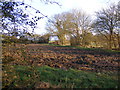 TM4262 : Footpath to the B1119 Saxmundham Road by Geographer