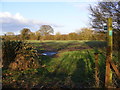 TM4262 : Footpath to the B1119 Saxmundham Road by Geographer