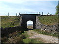 SD7579 : Railway Bridge by Barbara Carr