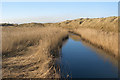 SS7883 : The Afon Cynffig near its mouth by eswales