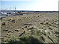 NY0236 : Former railway line, Maryport Coastal Park by Christine Johnstone