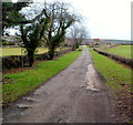 ST4391 : Entrance drive to The Cayo farm near Llanvaches by Jaggery